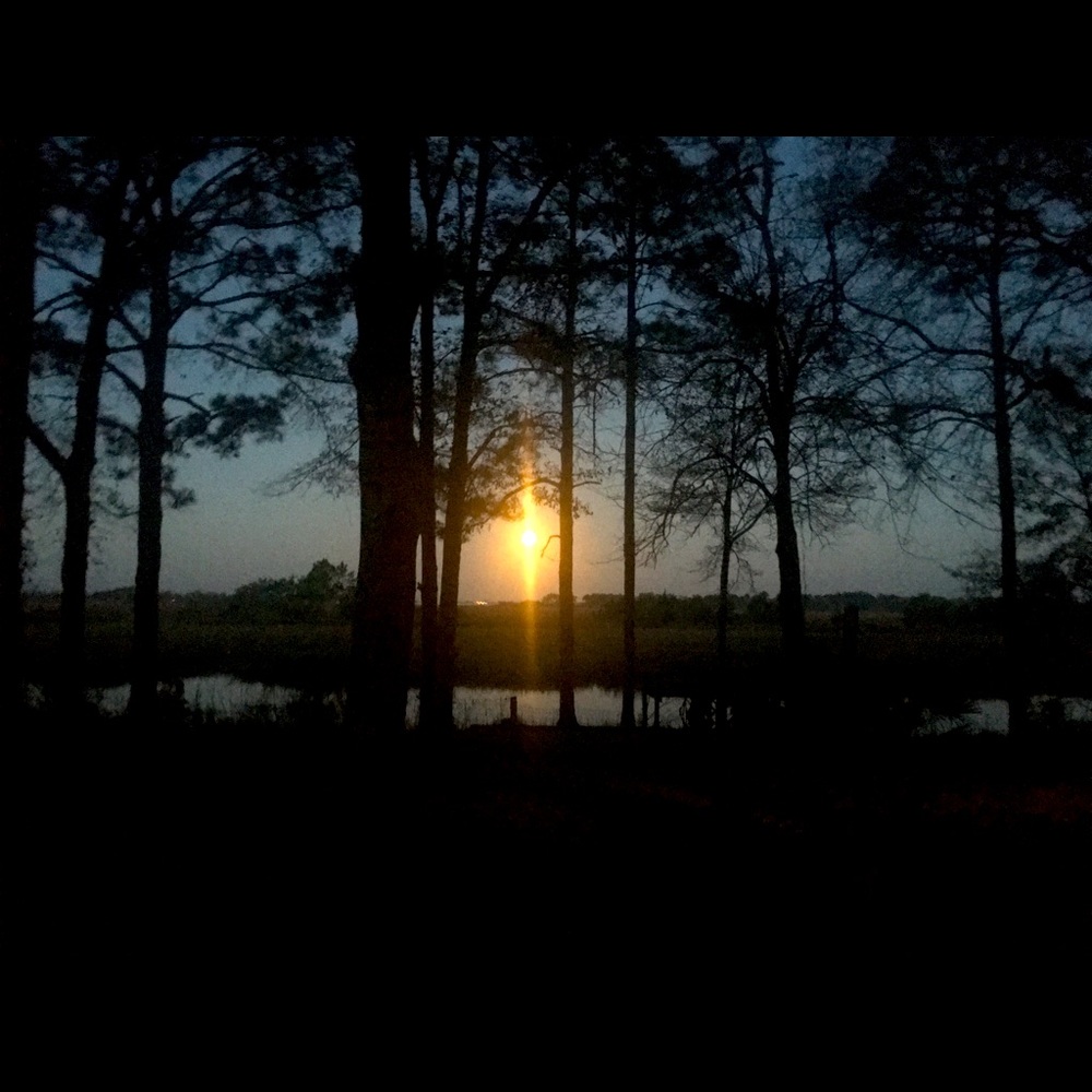 I will bundle two or more likes for ya and save on shipping too!